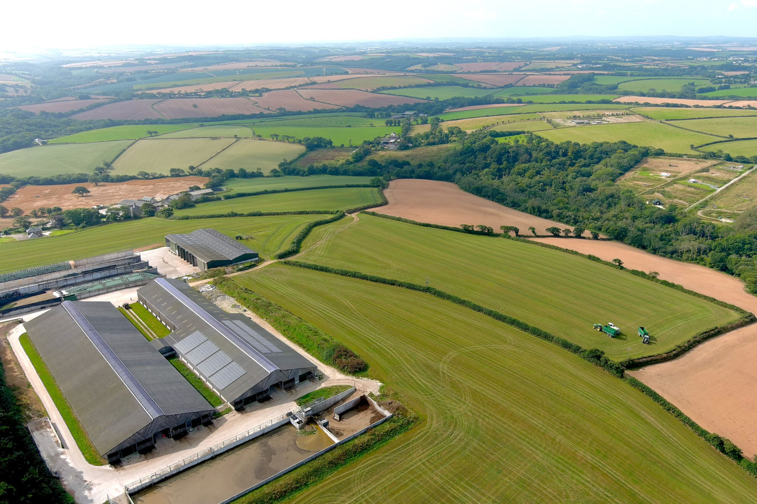 Farm with solar panels surrounded by open green fields