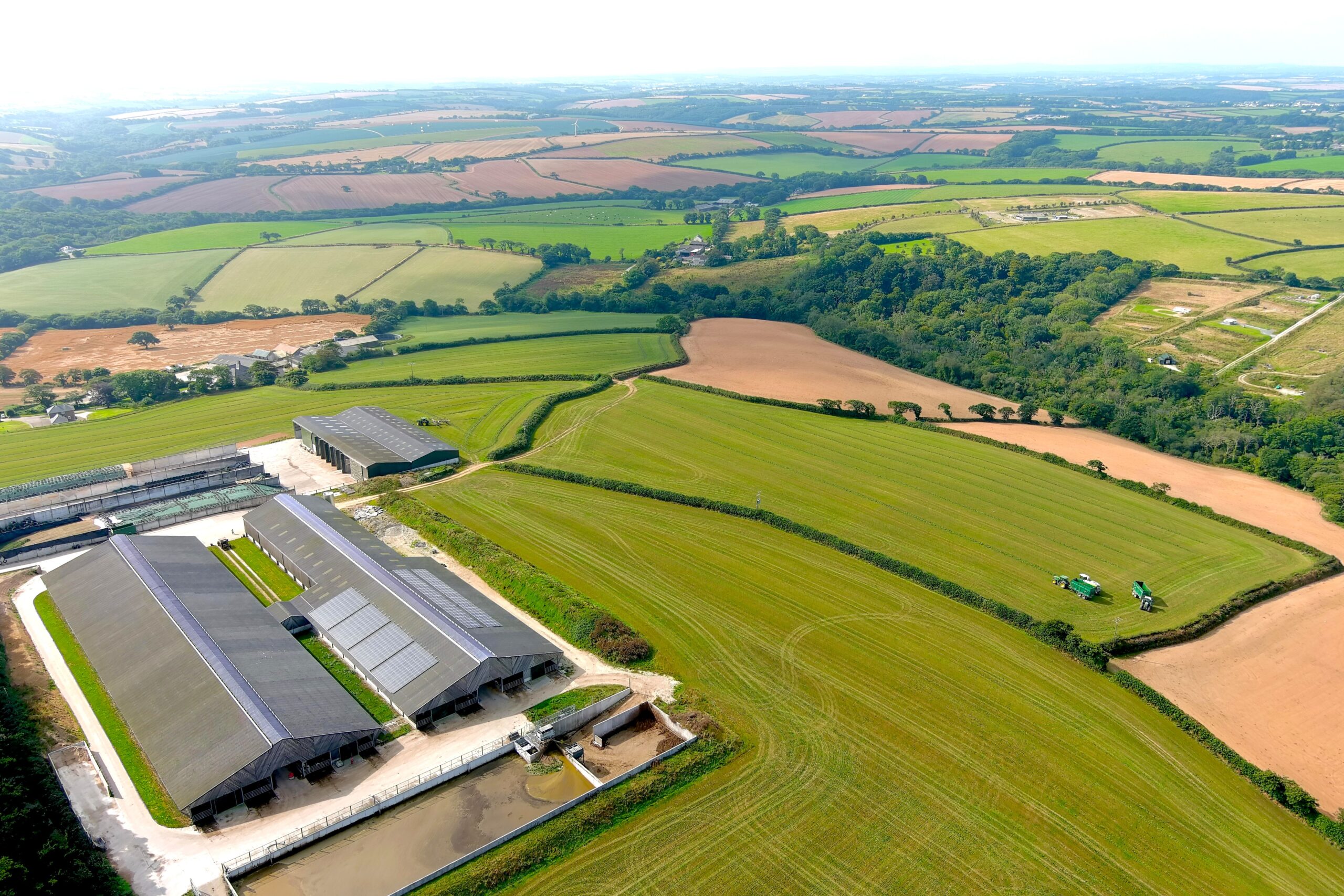 Dairy Industry Treveale Farm